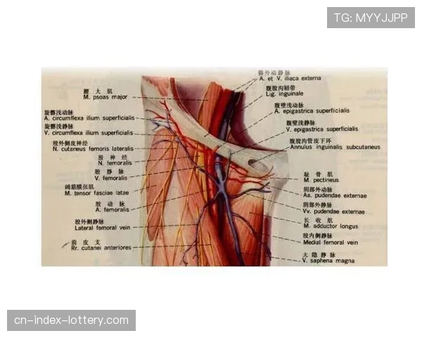 法兰克福俱乐部公告：科洛穆阿尼成功接受腹股沟手术，康复期约六周